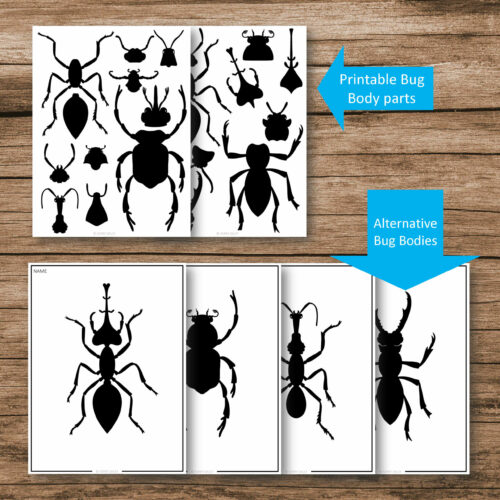 Build A Bug Art Lesson Cover Plan Page 3