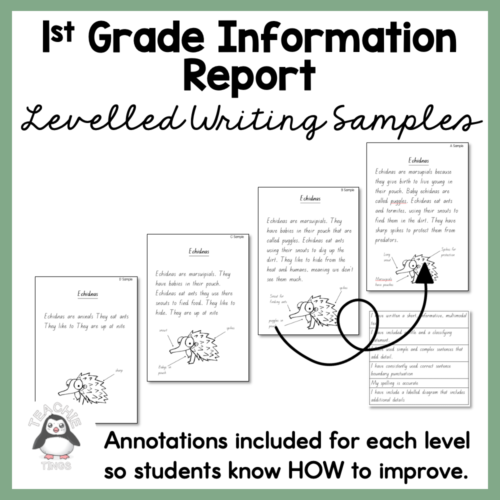 Year 1 Information Report