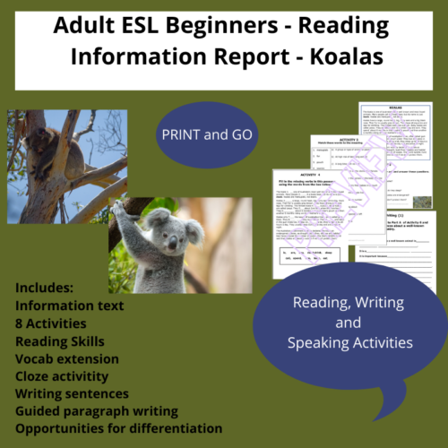 Adult Esl Beginner Koalas Info Report Tpt