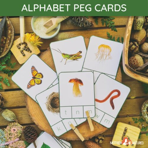 Alphabet Peg Cards Clip Cards