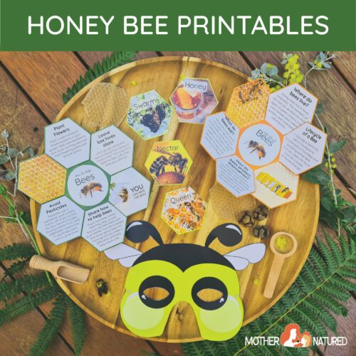 Honey Bee Printables Preschool