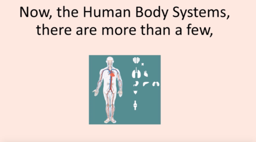 Humanbodysystems