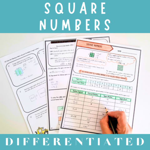 Square Numbers And Their Roots