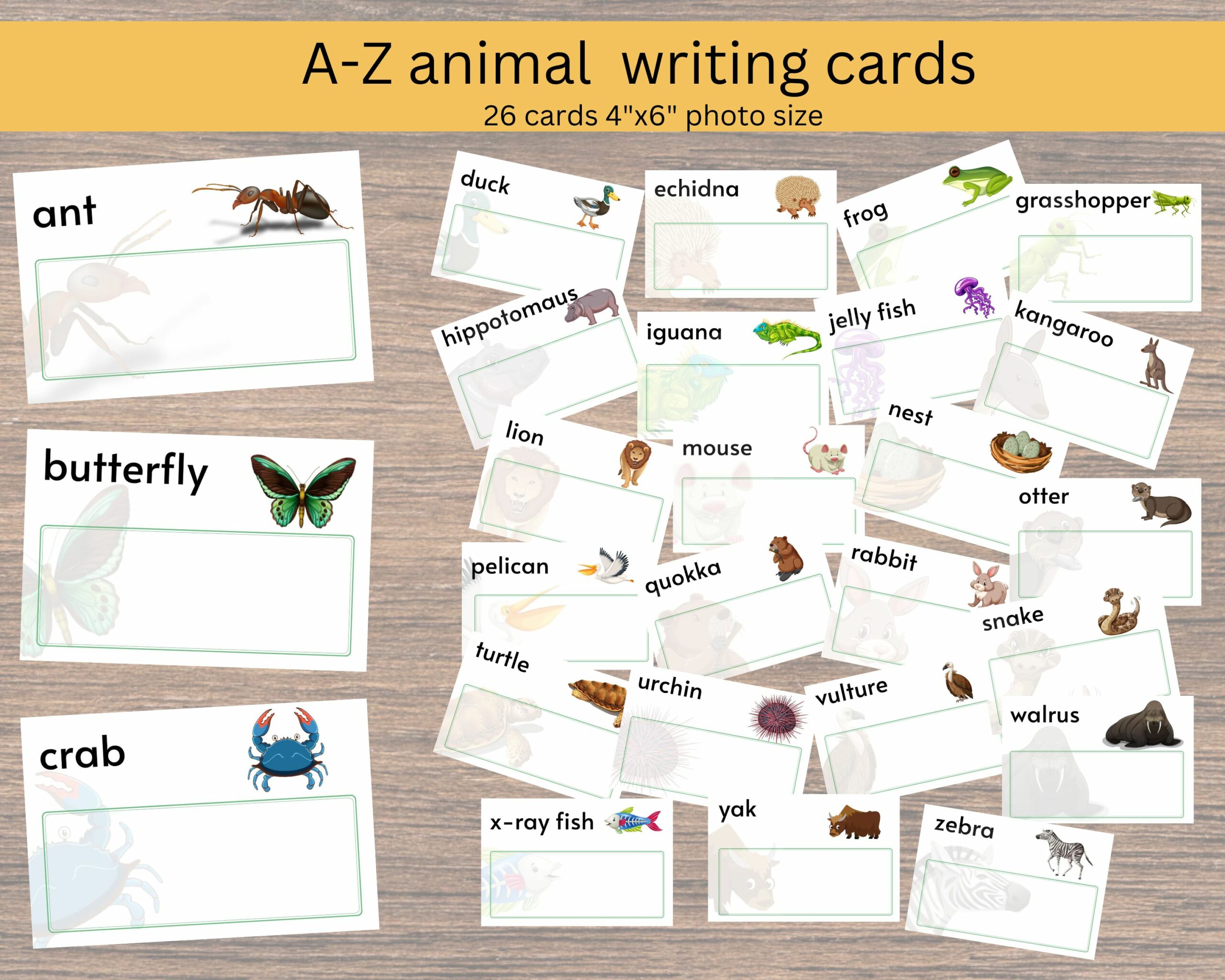 A Z Animal Matching Cards