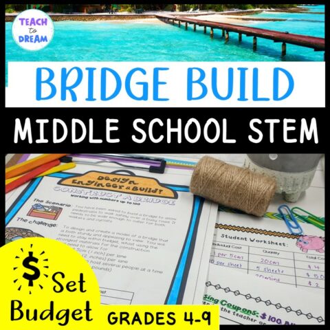 Bridge Build Activity Stem