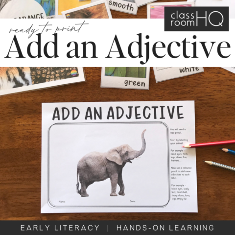 Picture Of Add An Adjective Classroom Activity