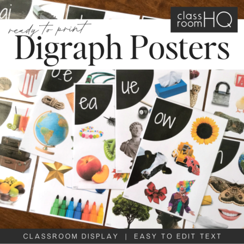 Picture Of Digraph Wall Posters For Classroom Display