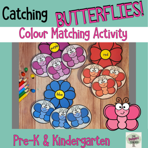 Catching Butterflies Colour Match Activity 1
