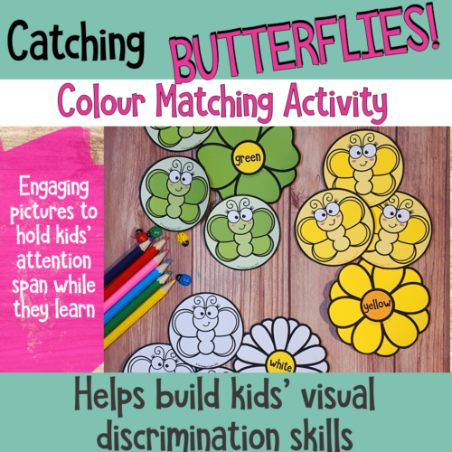 Catching Butterflies Colour Match Activity 2