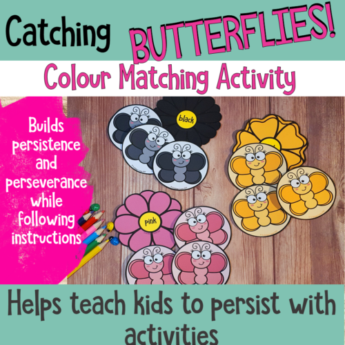 Catching Butterflies Colour Match Activity 3