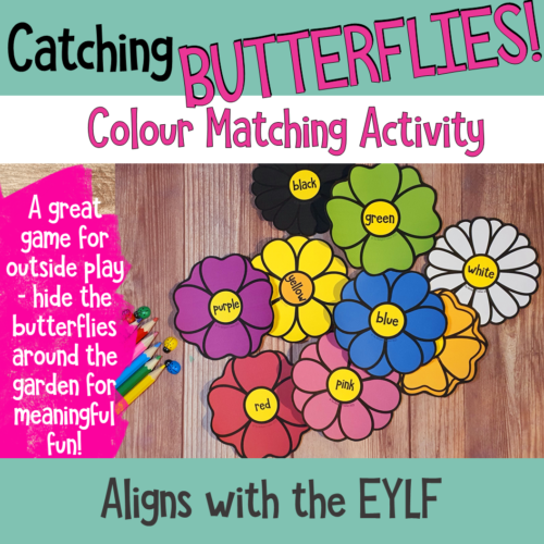 Catching Butterflies Colour Match Activity 4