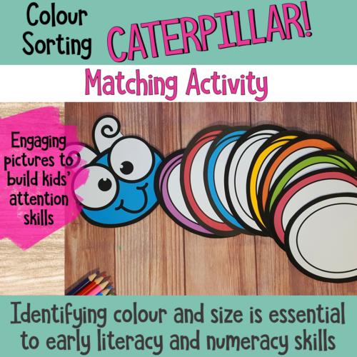 Caterpillar Colour Sorting And Matching Activity 4