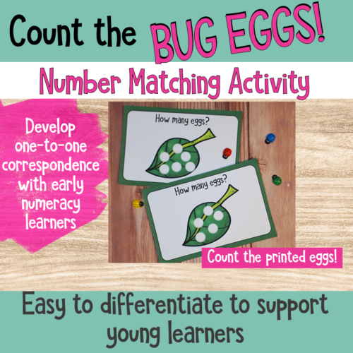 Count The Bug Eggs Number Matching Activity 2