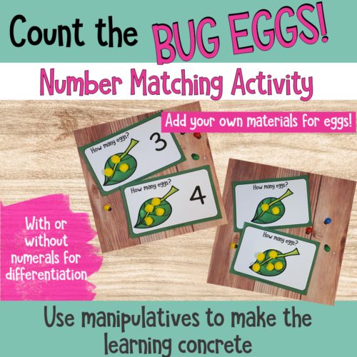 Count The Bug Eggs Number Matching Activity 4