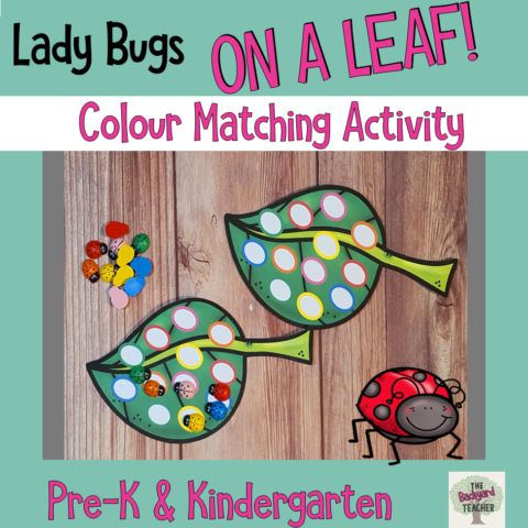 Ladybugs On A Leaf Colour Matching Activity 1