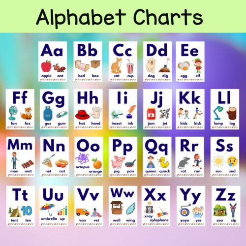 Alphabet - Anchor Charts, Flash Cards and Personal Student Spelling ...