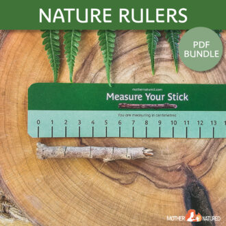 Measure Stick Ruler Printable