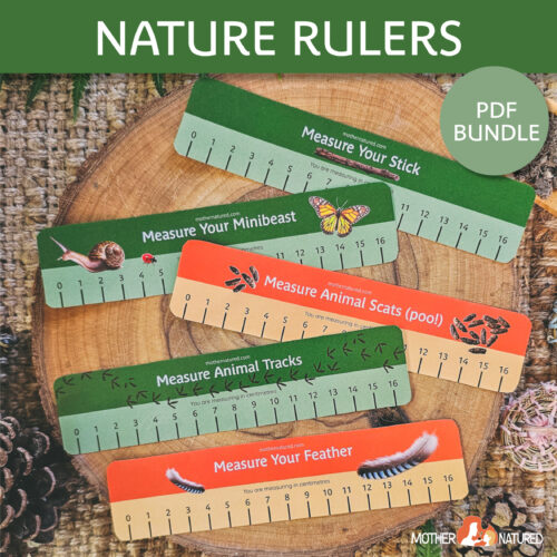 Nature Math Measurement Ruler