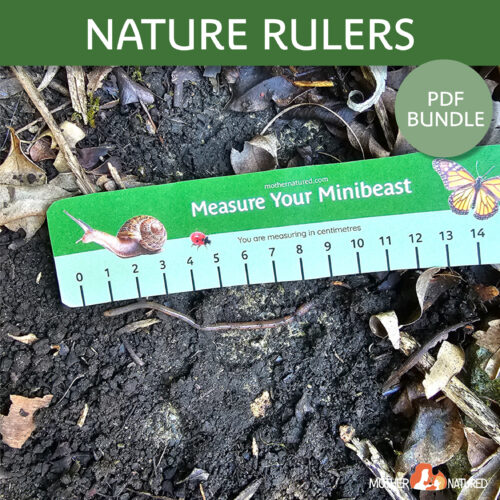 Nature Math Printable Ruler