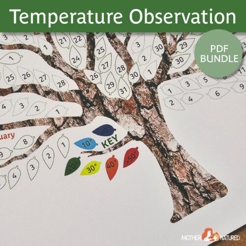 Temperature Observation Tree Celsius