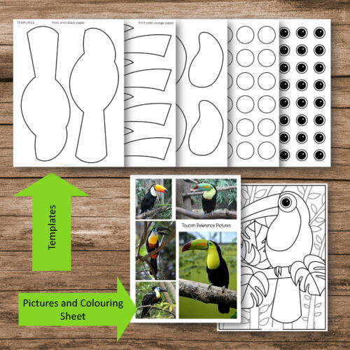 Paper Toucan Art Lesson Plan Cover Page 3