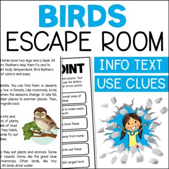 Bird escape room cover