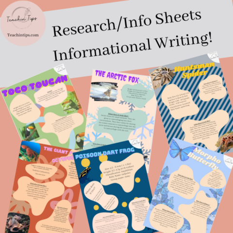 Info Sheets Information Report Writing