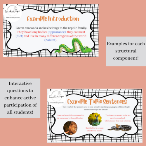 Writing Information Report Texts Powerpoint/Lesson