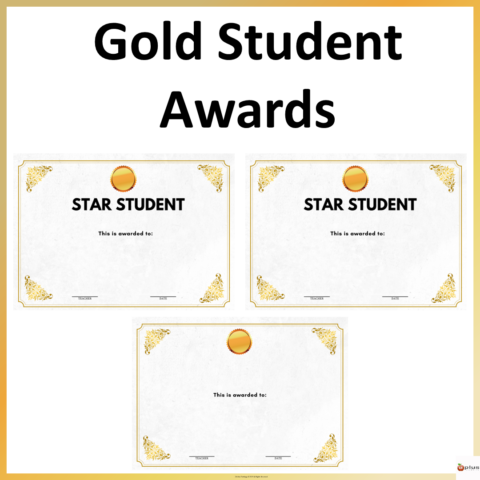 Star Student Gold Award Cover Page
