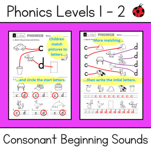 Phonics 12 Sample