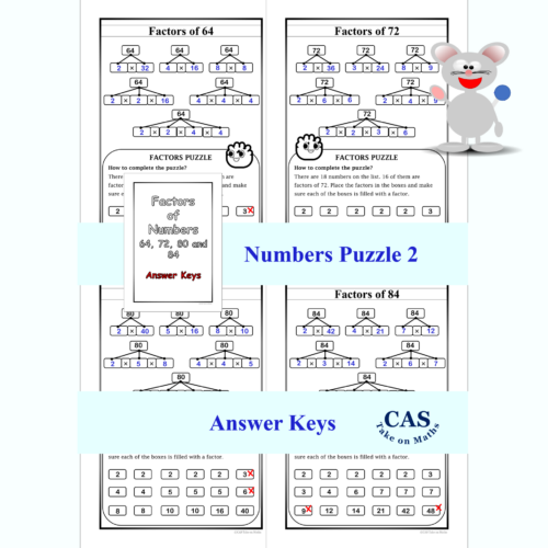 Castom-Factors Of Number Puzzle 24