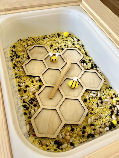 Honeycomb Sensory Tray 3
