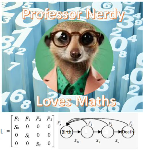 Professor Nerdy Leslie Matrices