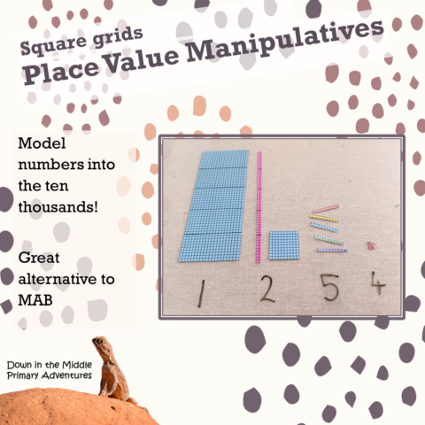 Squares Place Value Manipulatives Thumbnail