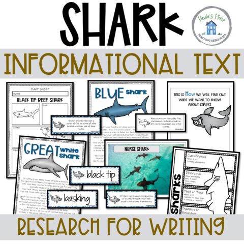 Shark Informational Text Sq