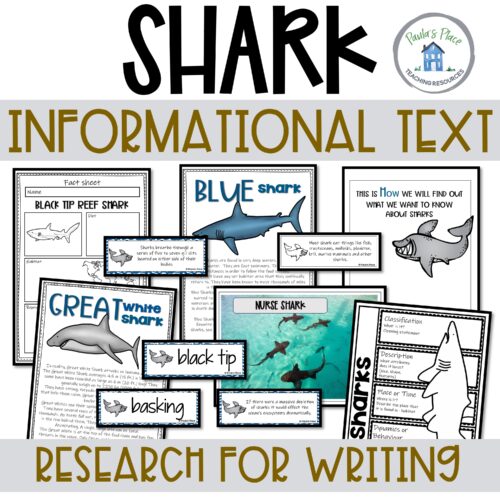 Shark Informational Text Sq