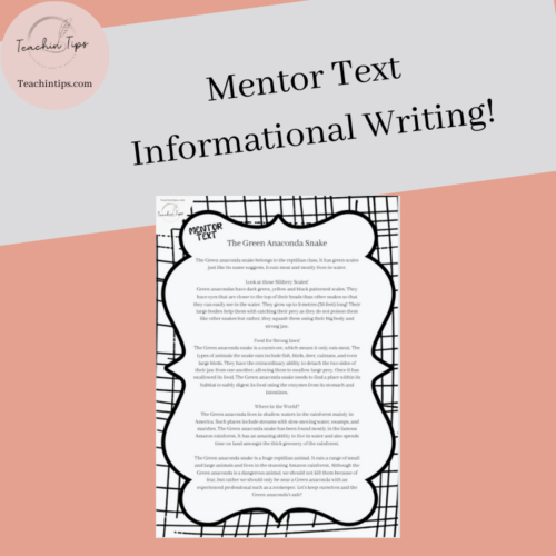 Informational Writing Mentor Text | Factual Texts Anchor Chart!