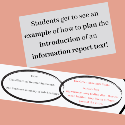 Informational Writing Sample Plan | Factual Texts Sample Plan!